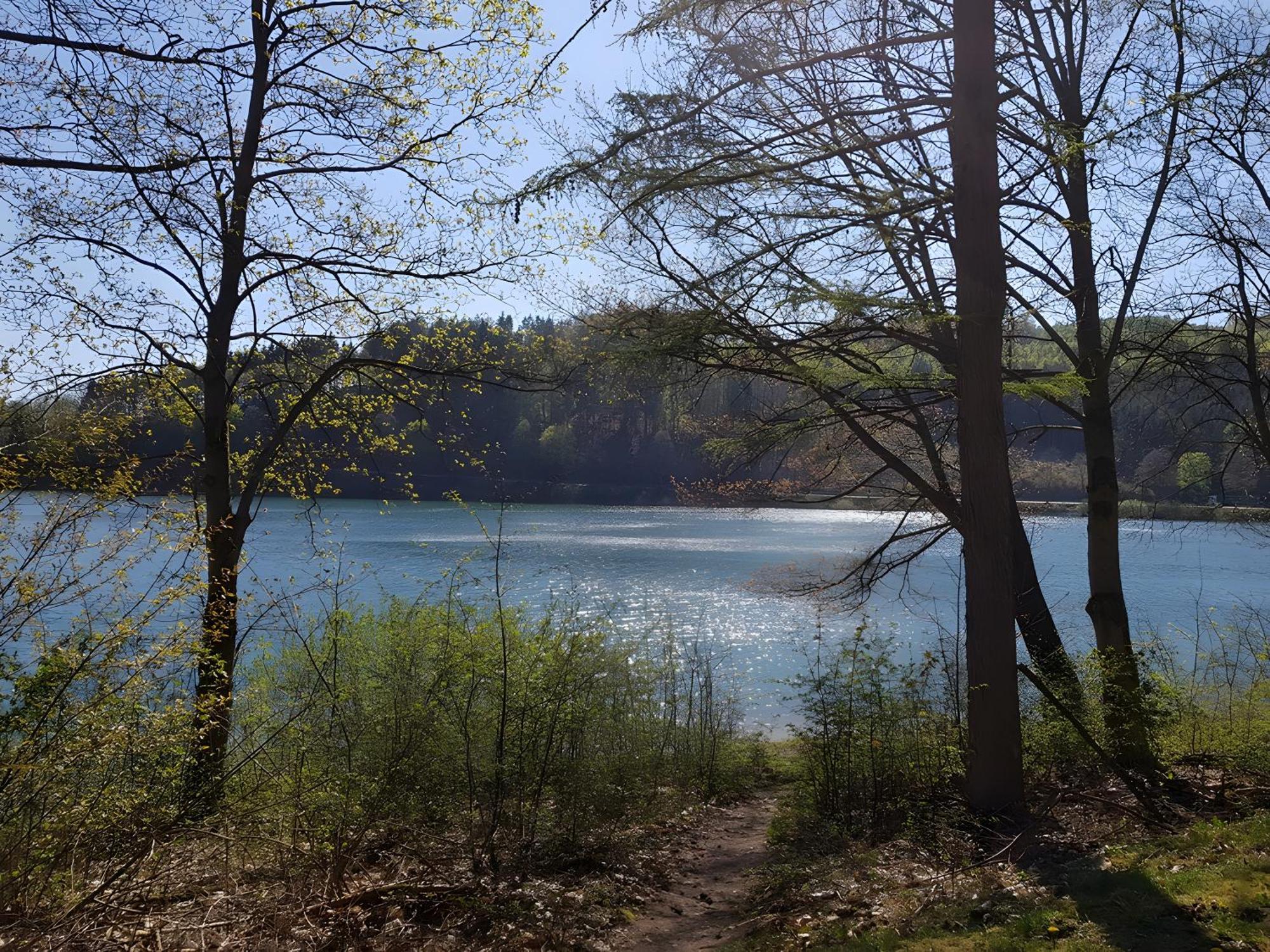 Ferienhaus Wasserfall Bestwig Esterno foto